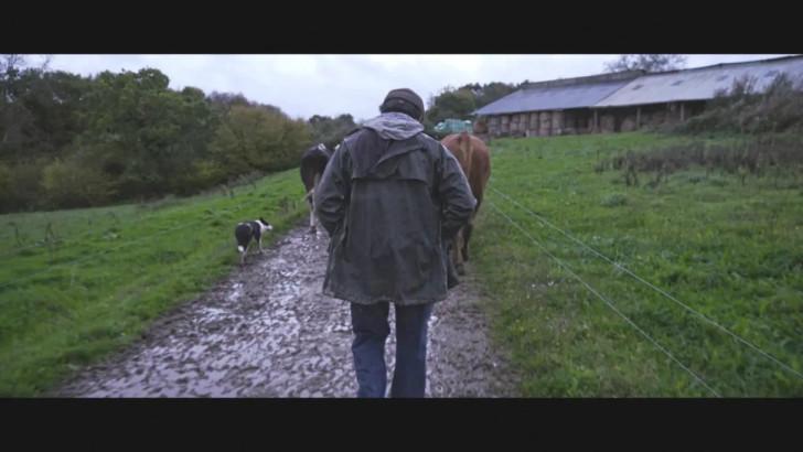 « Violence dans les champs »